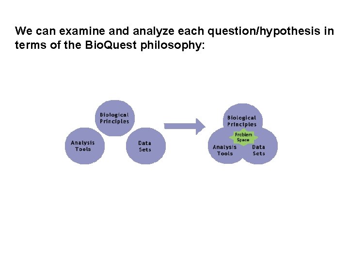 We can examine and analyze each question/hypothesis in terms of the Bio. Quest philosophy: