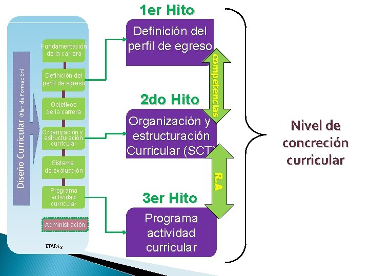 1 er Hito (Plan de Formación) Objetivos de la carrera Organización y estructuración curricular