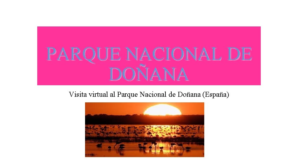 PARQUE NACIONAL DE DOÑANA Visita virtual al Parque Nacional de Doñana (España) 