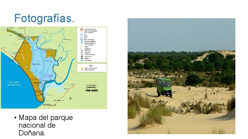 Fotografías. • Mapa del parque nacional de Doñana. 