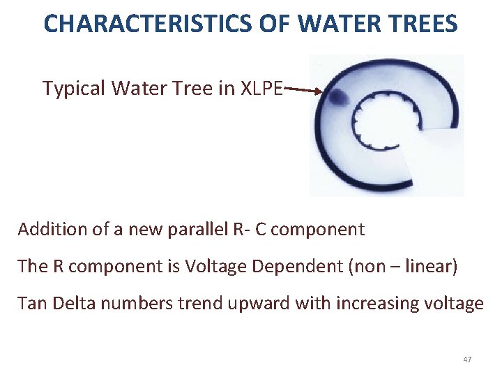 CHARACTERISTICS OF WATER TREES Typical Water Tree in XLPE Addition of a new parallel