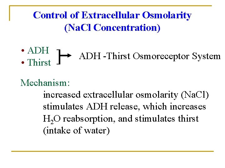 Control of Extracellular Osmolarity (Na. Cl Concentration) • ADH • Thirst ] ADH -Thirst