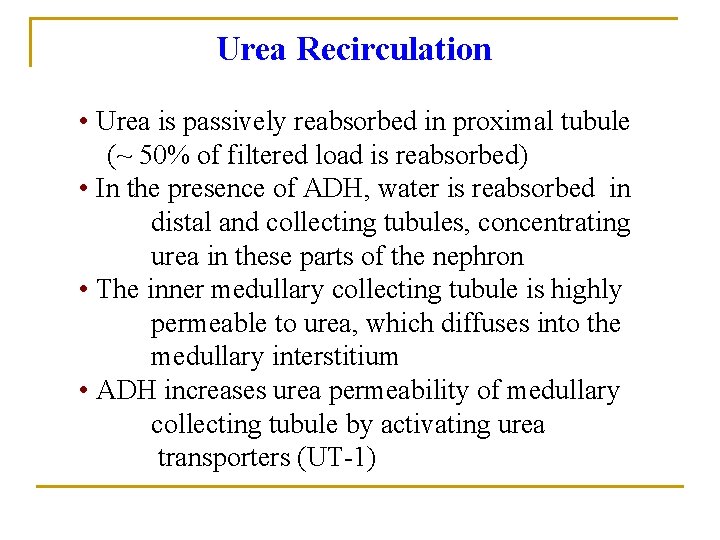 Urea Recirculation • Urea is passively reabsorbed in proximal tubule (~ 50% of filtered