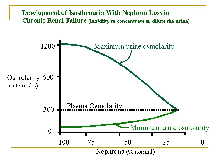 Development of Isosthenuria With Nephron Loss in Chronic Renal Failure (inability to concentrate or