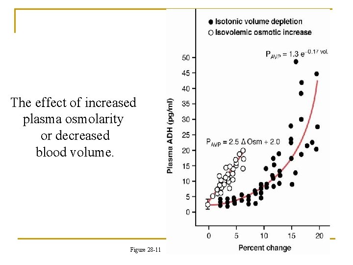 The effect of increased plasma osmolarity or decreased blood volume. Figure 28 -11 