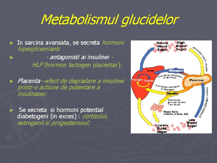 Metabolismul glucidelor ► ► In sarcina avansata, se secreta hormoni hiperglicemianti - antagonisti ai