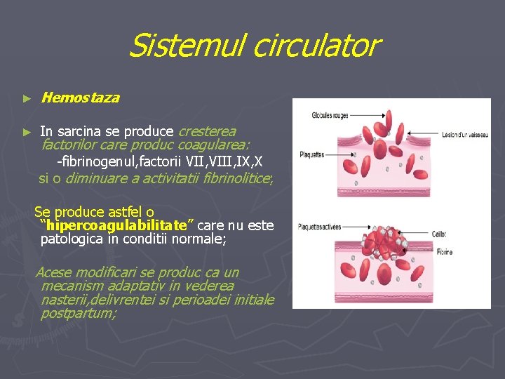 Sistemul circulator ► Hemostaza ► In sarcina se produce cresterea factorilor care produc coagularea: