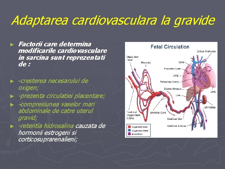Adaptarea cardiovasculara la gravide ► Factorii care determina modificarile cardiovasculare in sarcina sunt reprezentati