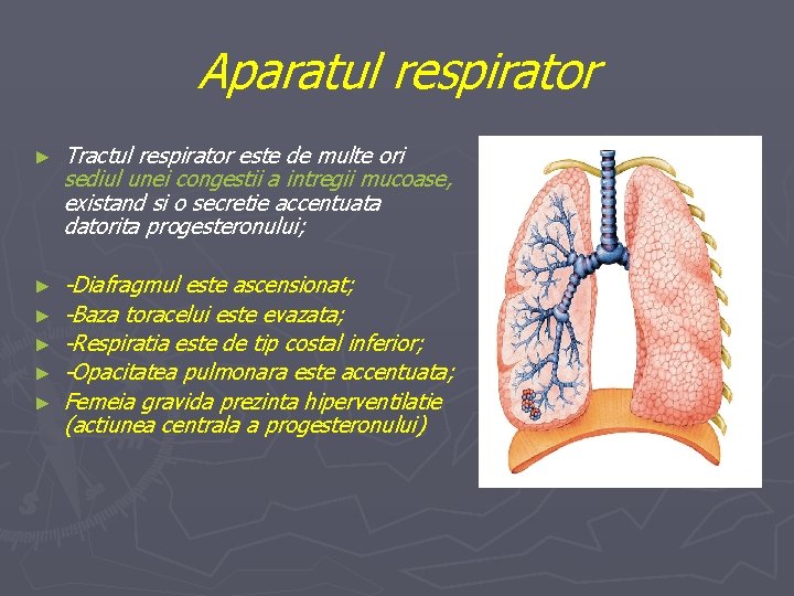 Aparatul respirator ► Tractul respirator este de multe ori sediul unei congestii a intregii