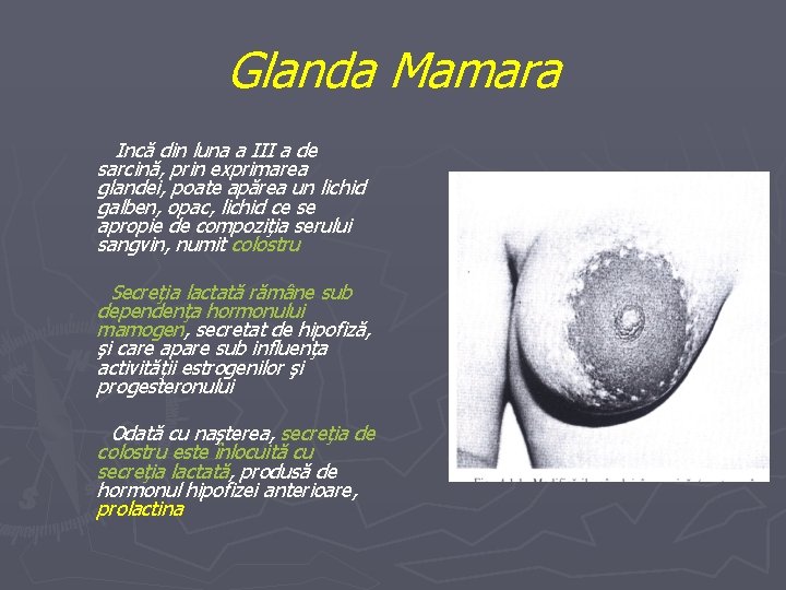 Glanda Mamara Incă din luna a III a de sarcină, prin exprimarea glandei, poate