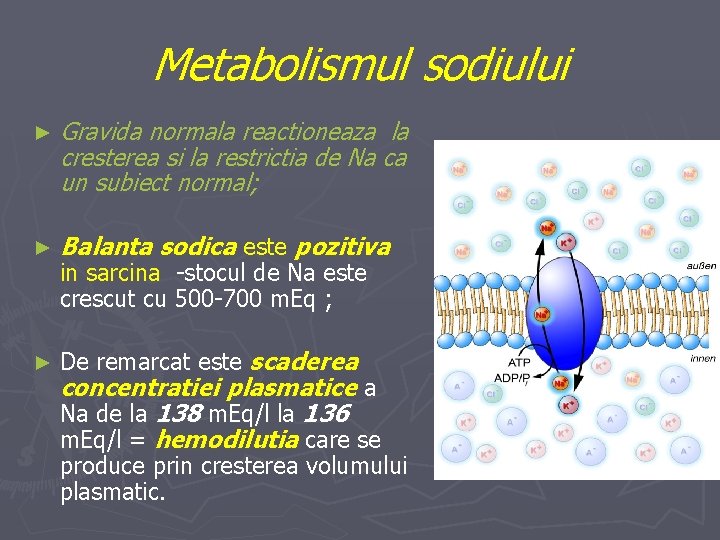 Metabolismul sodiului ► Gravida normala reactioneaza la cresterea si la restrictia de Na ca