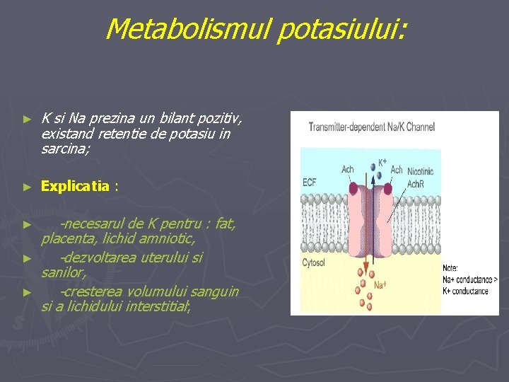 Metabolismul potasiului: ► K si Na prezina un bilant pozitiv, existand retentie de potasiu