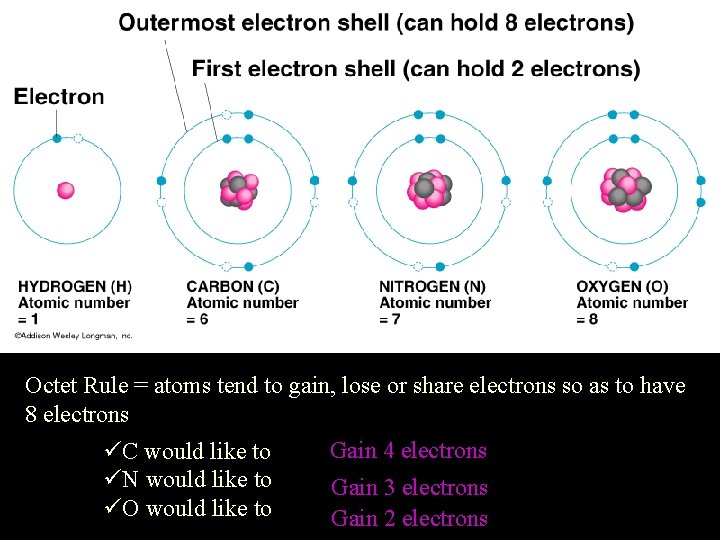 Octet Rule = atoms tend to gain, lose or share electrons so as to