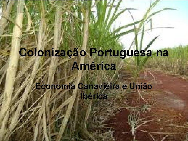 Colonização Portuguesa na América Economia Canavieira e União Ibérica 