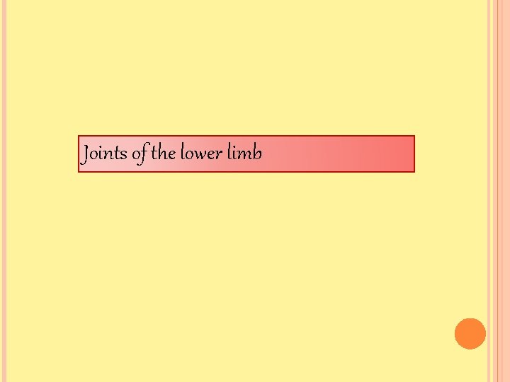 Joints of the lower limb 