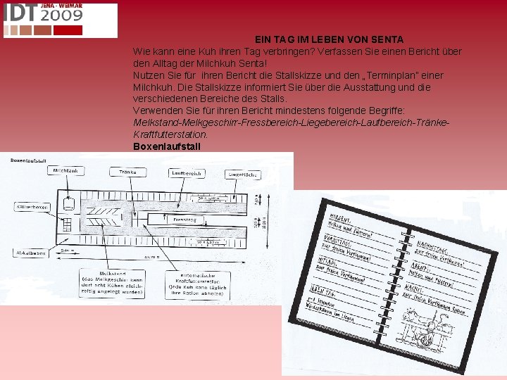 EIN TAG IM LEBEN VON SENTA Wie kann eine Kuh ihren Tag verbringen? Verfassen