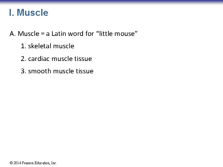 I. Muscle A. Muscle = a Latin word for “little mouse” 1. skeletal muscle