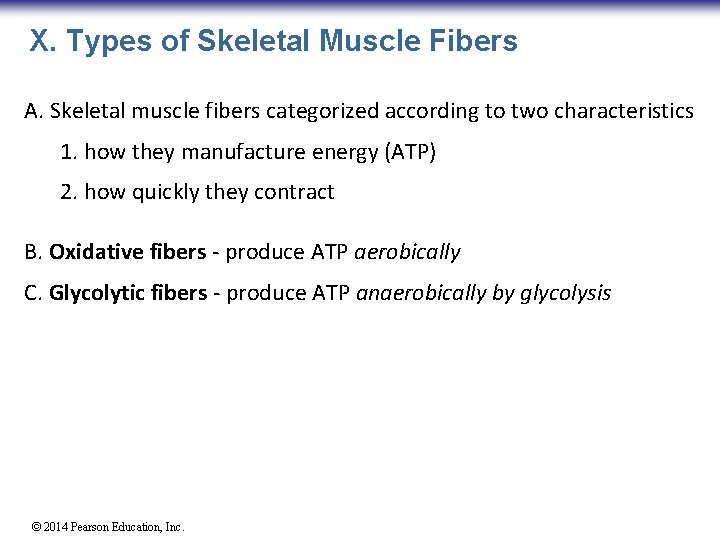X. Types of Skeletal Muscle Fibers A. Skeletal muscle fibers categorized according to two