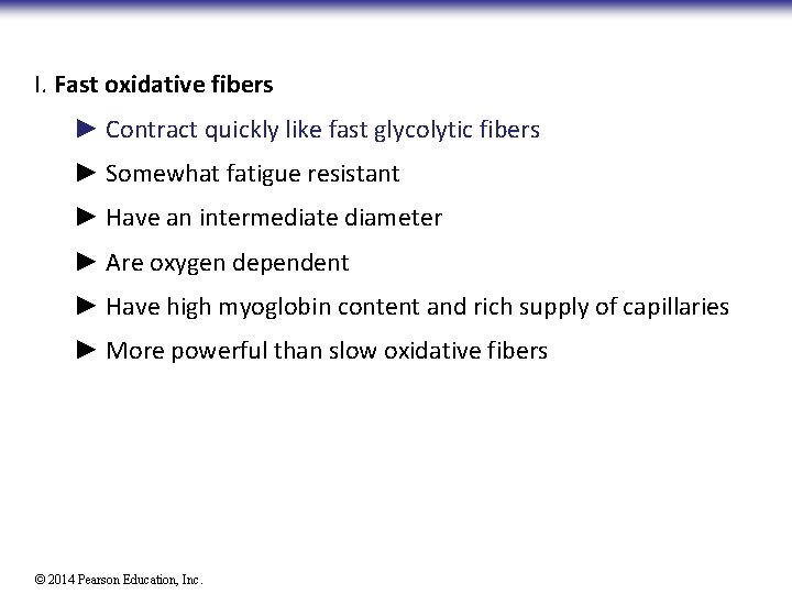 I. Fast oxidative fibers ► Contract quickly like fast glycolytic fibers ► Somewhat fatigue