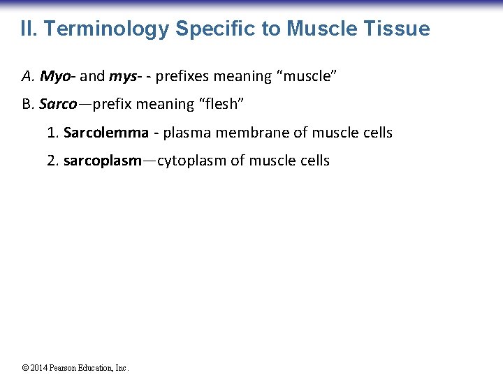 II. Terminology Specific to Muscle Tissue A. Myo- and mys- - prefixes meaning “muscle”