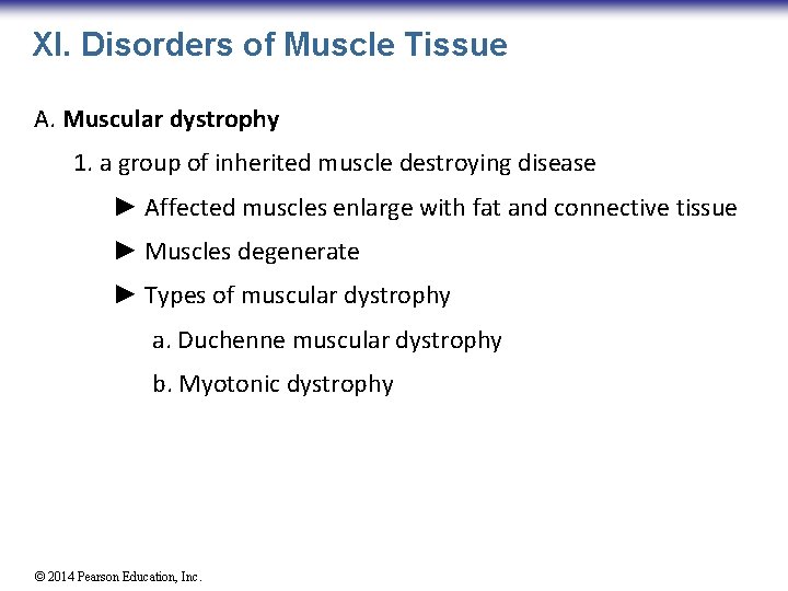 XI. Disorders of Muscle Tissue A. Muscular dystrophy 1. a group of inherited muscle