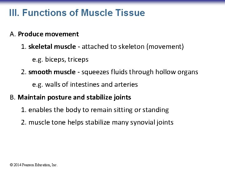 III. Functions of Muscle Tissue A. Produce movement 1. skeletal muscle - attached to