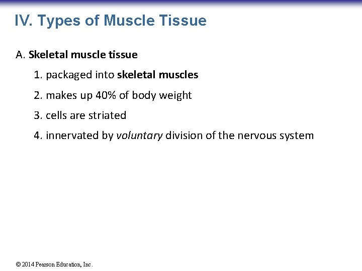 IV. Types of Muscle Tissue A. Skeletal muscle tissue 1. packaged into skeletal muscles