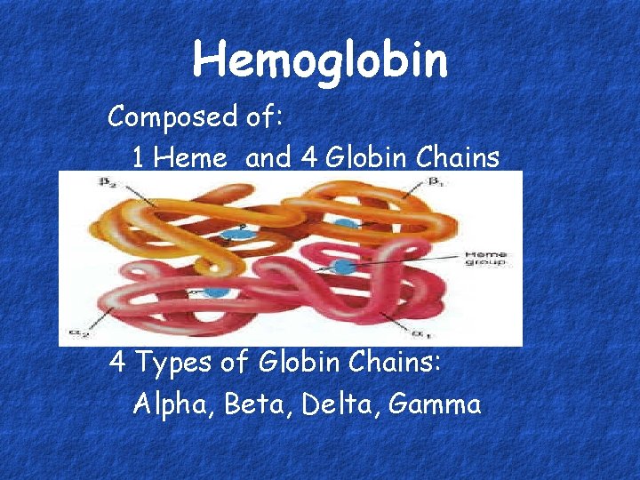 Hemoglobin Composed of: 1 Heme and 4 Globin Chains 4 Types of Globin Chains: