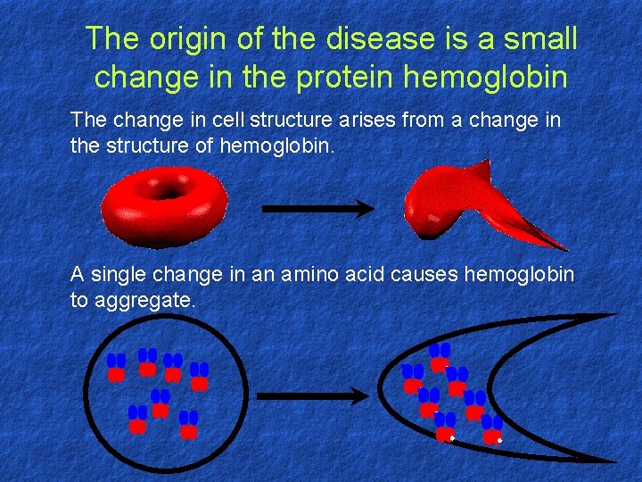 The origin of the disease is a small change in the protein hemoglobin The