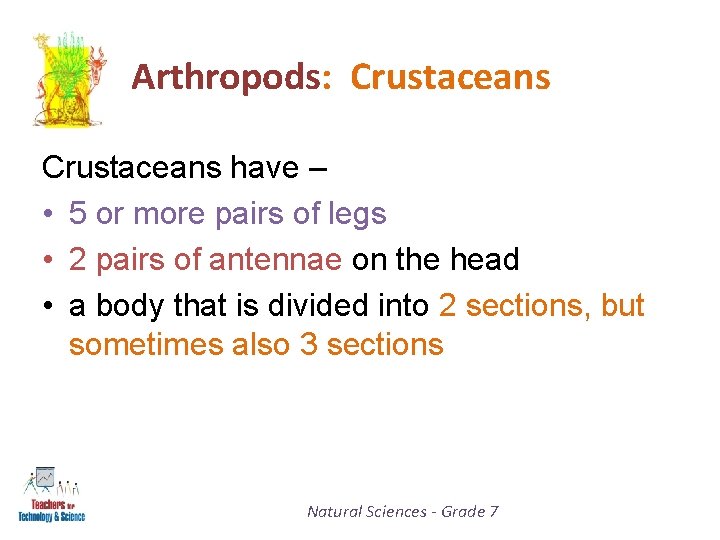 Arthropods: Crustaceans have – • 5 or more pairs of legs • 2 pairs