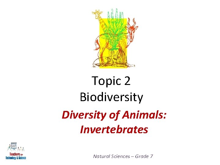 Topic 2 Biodiversity Diversity of Animals: Invertebrates Natural Sciences – Grade 7 