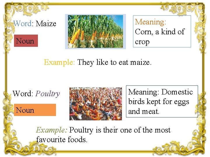 Word: Maize Noun Meaning: Corn, a kind of crop Example: They like to eat