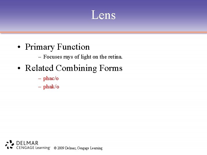 Lens • Primary Function – Focuses rays of light on the retina. • Related