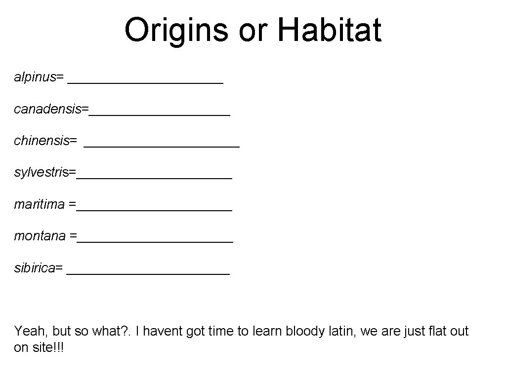 Origins or Habitat alpinus= ___________ canadensis=__________ chinensis= ___________ sylvestris=___________ maritima =___________ montana =___________ sibirica=