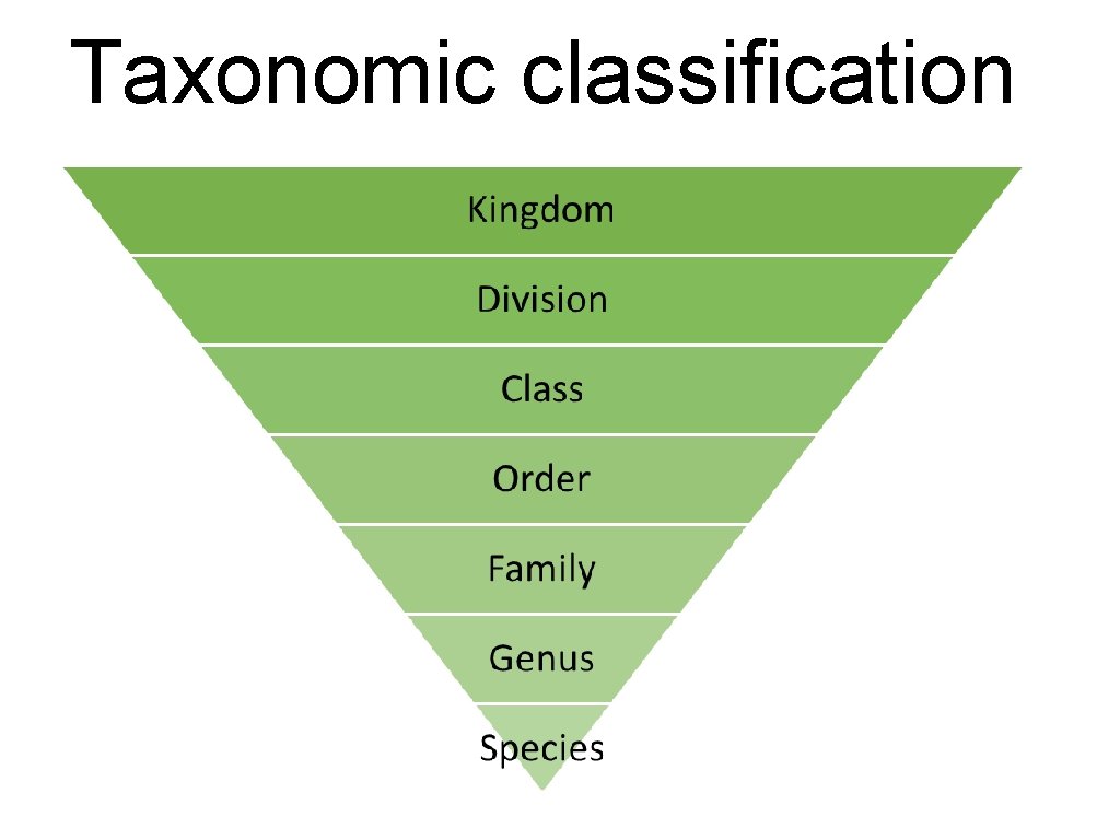 Taxonomic classification 