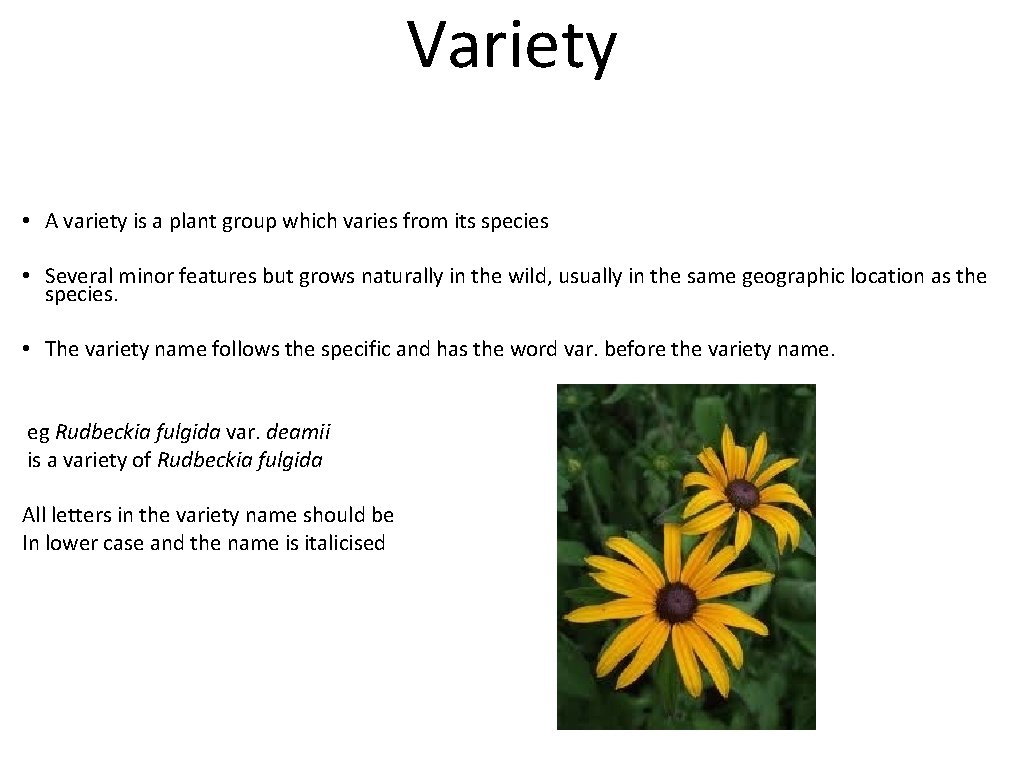 Variety • A variety is a plant group which varies from its species •