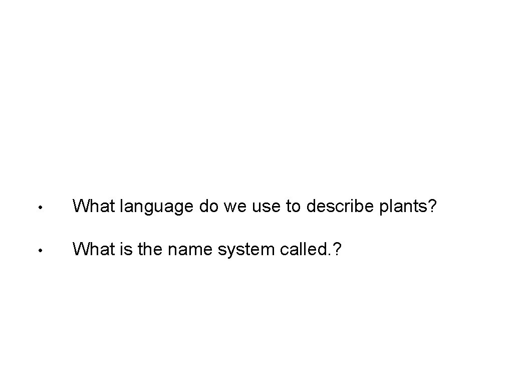  • What language do we use to describe plants? • What is the