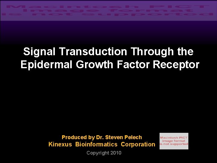 Signal Transduction Through the Epidermal Growth Factor Receptor Produced by Dr. Steven Pelech Kinexus