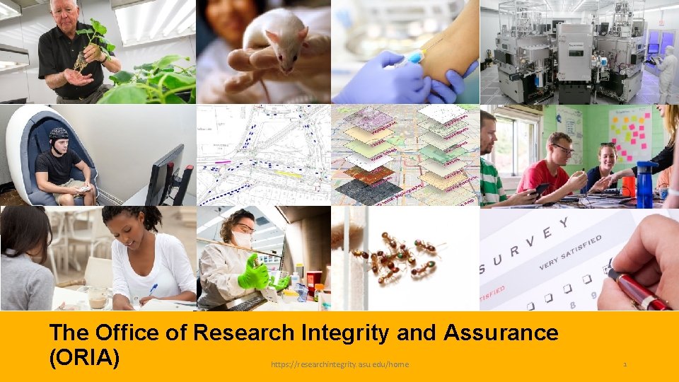 The Office of Research Integrity and Assurance (ORIA) https: //researchintegrity. asu. edu/home 1 