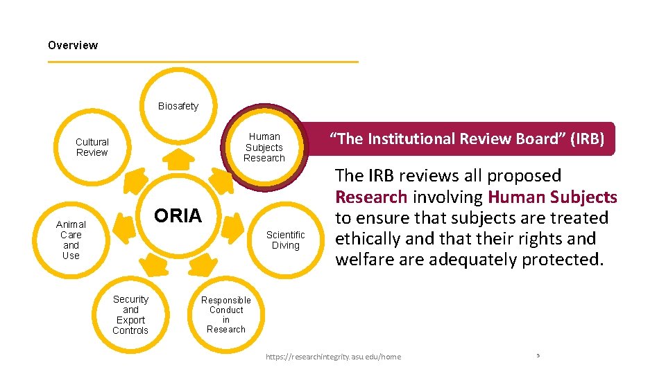 Overview Biosafety Human Subjects Research Cultural Review ORIA Animal Care and Use Scientific Diving