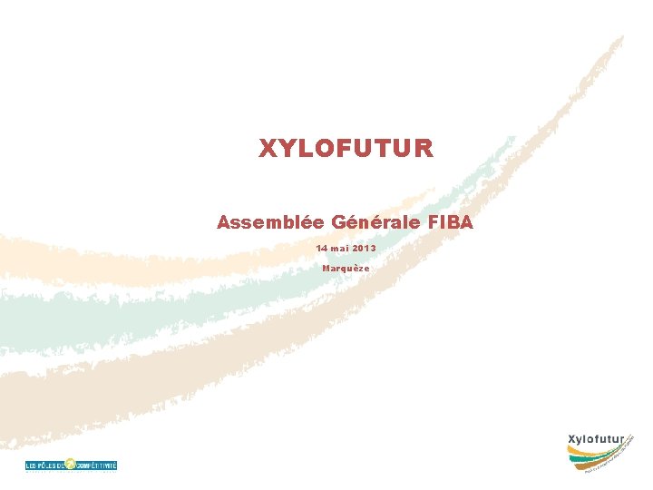 XYLOFUTUR Assemblée Générale FIBA 14 mai 2013 Marquèze 