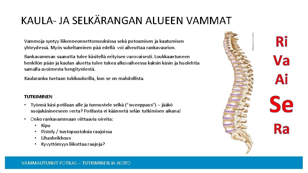 KAULA- JA SELKÄRANGAN ALUEEN VAMMAT Vammoja syntyy liikenneonnettomuuksissa sekä putoamisen ja kaatumisen yhteydessä. Myös