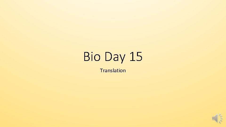 Bio Day 15 Translation 
