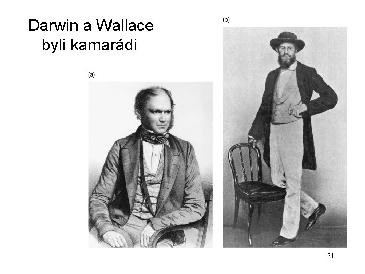 Darwin a Wallace byli kamarádi 31 