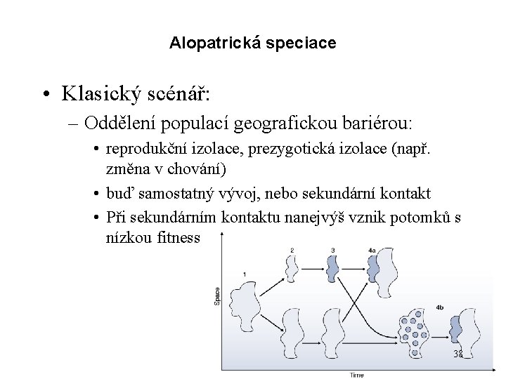 Alopatrická speciace • Klasický scénář: – Oddělení populací geografickou bariérou: • reprodukční izolace, prezygotická