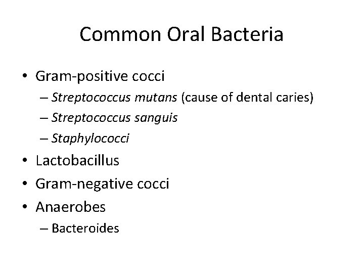 Common Oral Bacteria • Gram-positive cocci – Streptococcus mutans (cause of dental caries) –