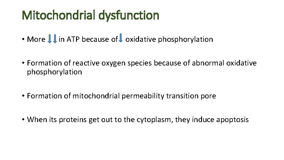 Cellular responses to stress Adaptations injury and death