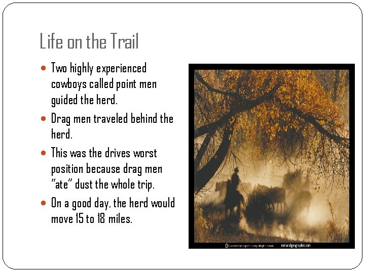 Life on the Trail Two highly experienced cowboys called point men guided the herd.