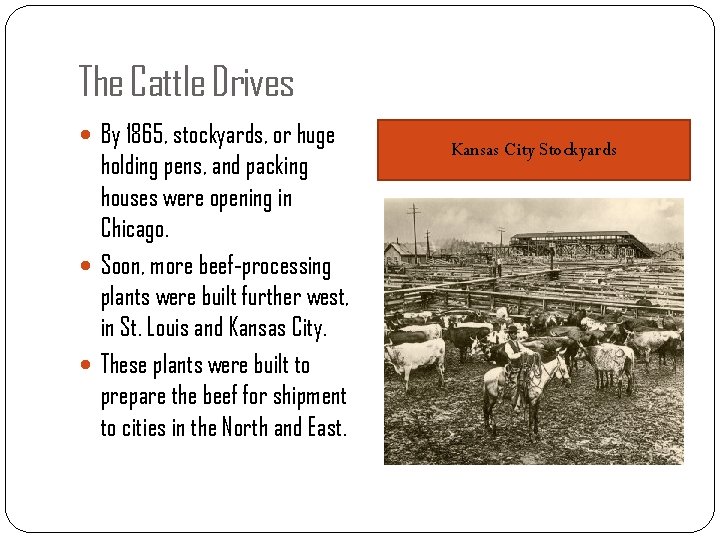 The Cattle Drives By 1865, stockyards, or huge holding pens, and packing houses were