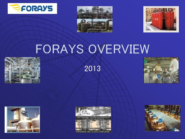 FORAYS OVERVIEW 2013 